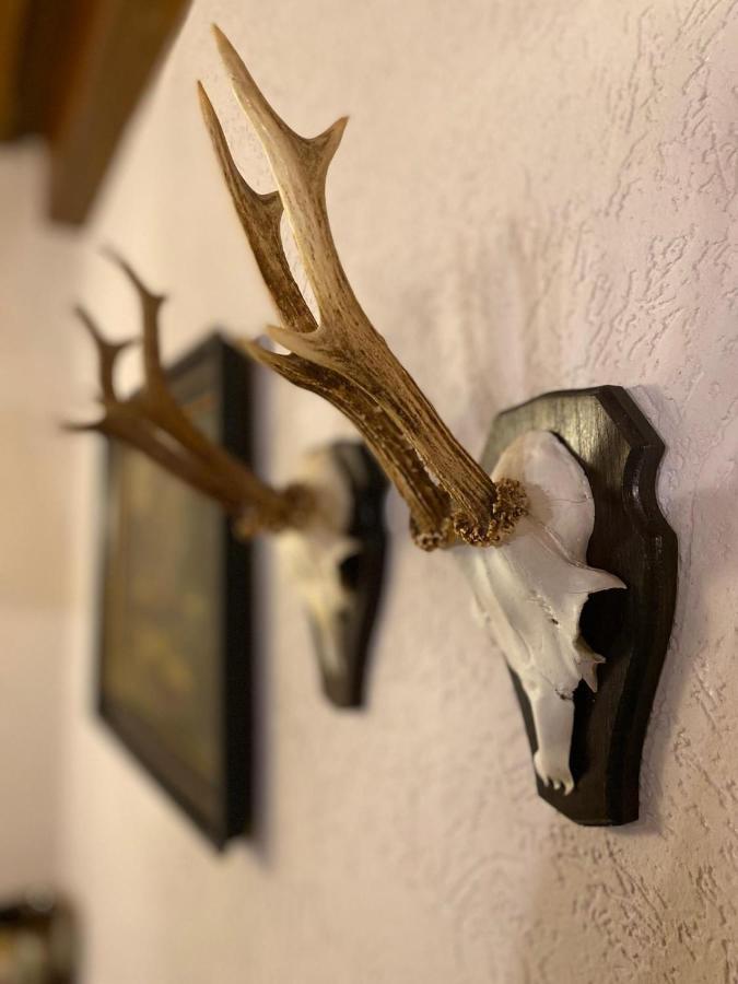 Gasthof Scherer Mühlbach am Hochkönig Dış mekan fotoğraf